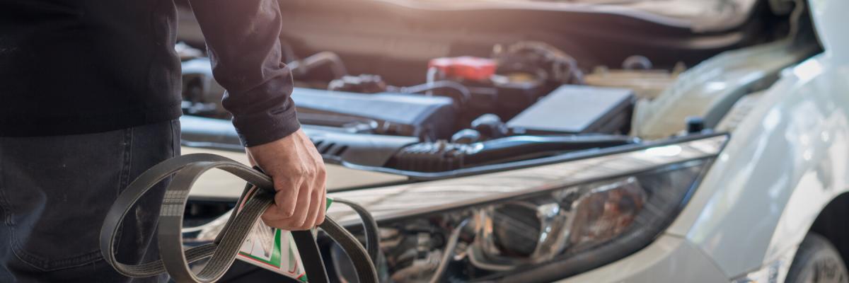 Professional mechanic man holding timing belt of a car for repair and preventive maintenance
